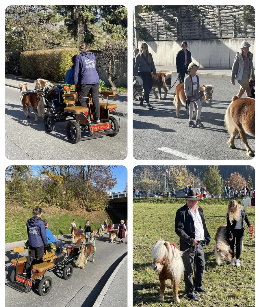 Kinder und Mini Ponys